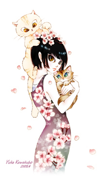 contact_illust